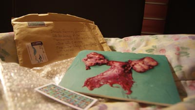 Pieza exhibida en el lugar mas visible de la casa. | Ampliar