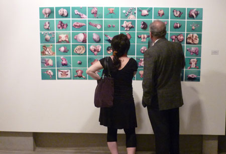 II Bienal de Fotografa Arte x Arte | Inauguracin