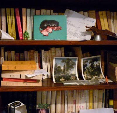 Pieza exhibida | Ampliar